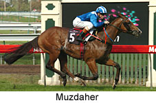 Muzdaher (14872 bytes)