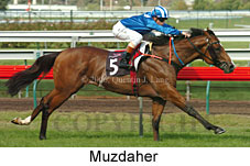 Muzdaher (14872 bytes)