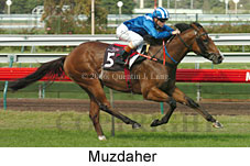 Muzdaher (14872 bytes)