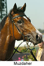 Muzdaher (14872 bytes)