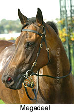 Megadeal (14872 bytes)