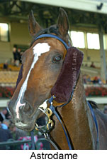 Astrodame (14872 bytes)