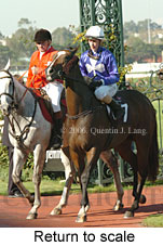 Return to scale (15361 bytes)