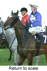 Return to scale (15361 bytes)