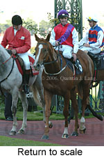 Return to scale (15361 bytes)