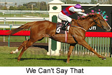 We Can't Say That (14872 bytes)