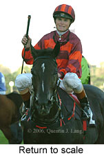 Return to scale (15361 bytes)