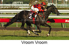 Roman Arch (17007 bytes)