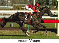 Vroom Vroom (14872 bytes)