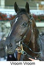 Vroom Vroom (14872 bytes)