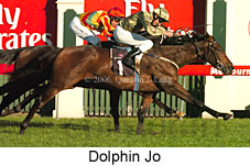 Dolphin Jo (14872 bytes)