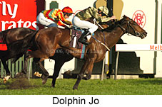 Dolphin Jo (14872 bytes)