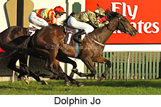 Dolphin Jo (14872 bytes)