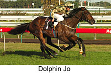Dolphin Jo (14872 bytes)
