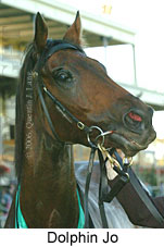Dolphin Jo (14872 bytes)