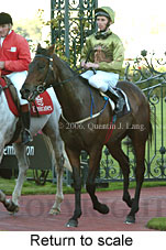 Return to scale (15361 bytes)