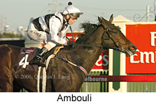 Ambouli (14872 bytes)