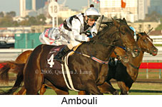 Ambouli (14872 bytes)