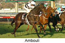 Ambouli (14872 bytes)