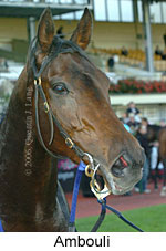 Ambouli (14872 bytes)