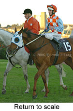 Return to scale (15361 bytes)