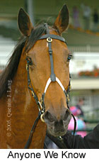 Anyone We Know (16007 bytes)