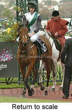 Return to scale (15361 bytes)