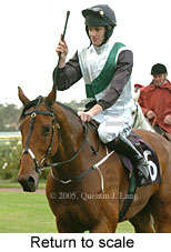 Return to scale (15361 bytes)