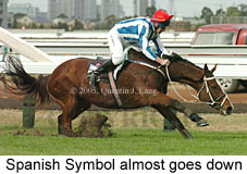 Spanish Symbol (16007 bytes)