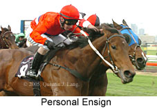 Personal Ensign (14872 bytes)