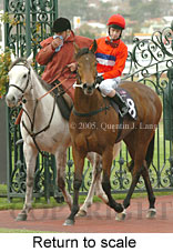 Return to scale (15361 bytes)