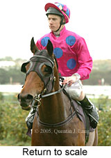 Return to scale (15361 bytes)