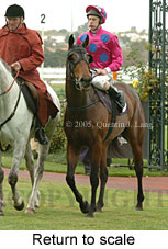 Return to scale (15361 bytes)