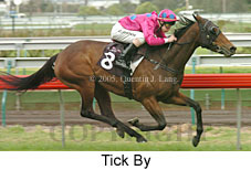 Tick By (14872 bytes)