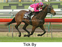 Tick By (14872 bytes)