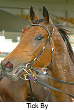 Tick By (14872 bytes)