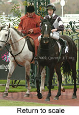 Return to scale (15361 bytes)