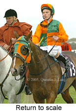 Return to scale (15361 bytes)