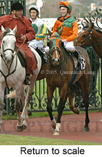 Return to scale (15361 bytes)