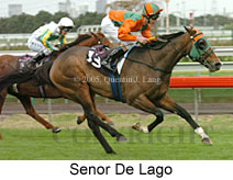 Senor De Lago (14872 bytes)