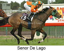 Senor De Lago (14872 bytes)