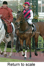 Return to scale (15361 bytes)