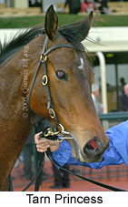 Tarn Princess (14872 bytes)