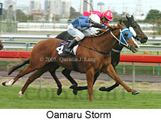 Oamaru Storm (14872 bytes)