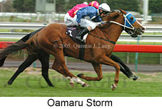 Oamaru Storm (14872 bytes)