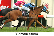 Oamaru Storm (14872 bytes)