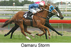 Oamaru Storm (14872 bytes)