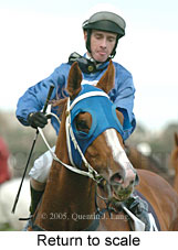 Return to scale (15361 bytes)