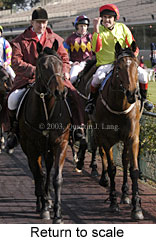 Return to scale (14480 bytes)