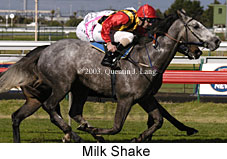 Milkshake (16686 bytes)